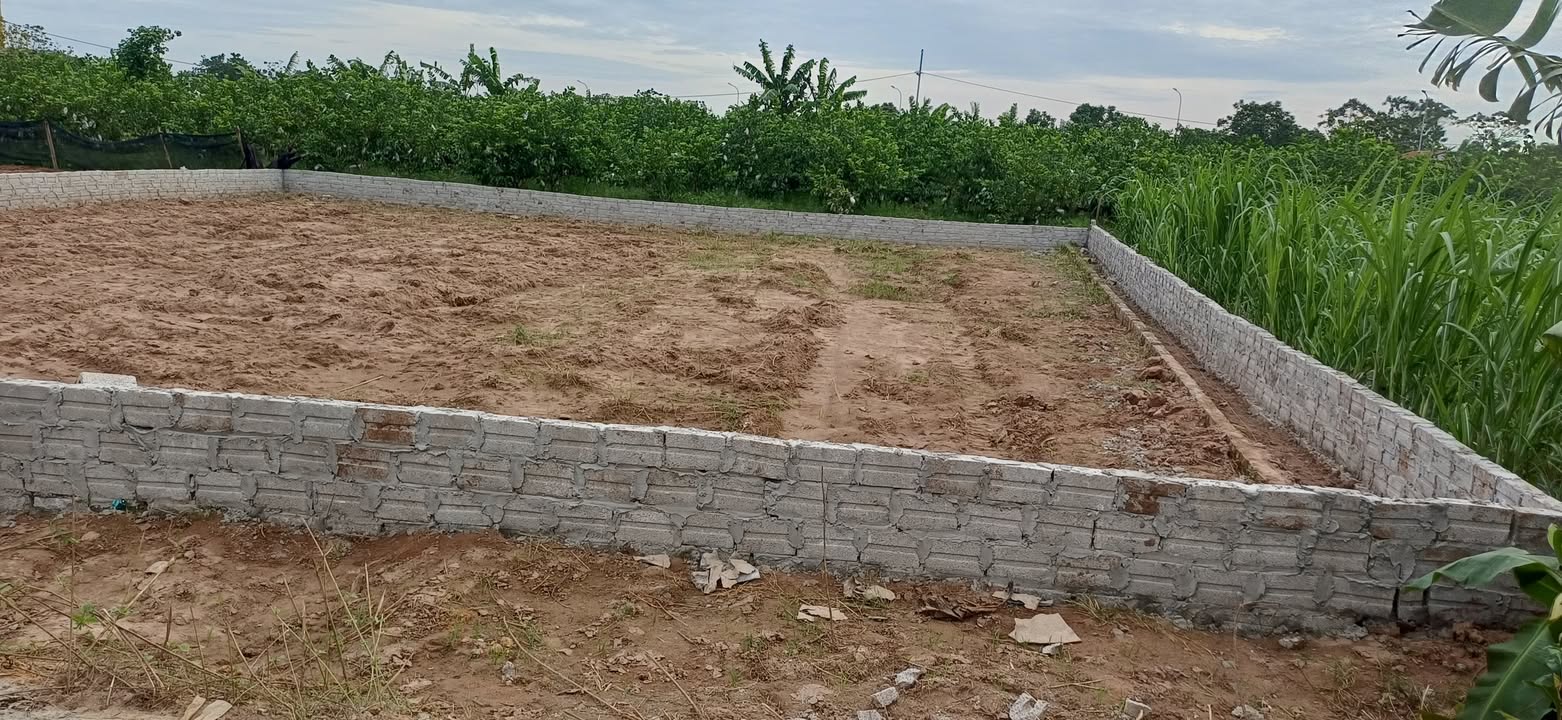 Đất vườn Sài Sơn Quốc Oai 330m² giá 1.017 tỷ - Diện tích rộng, tiện ích đầy đủ!