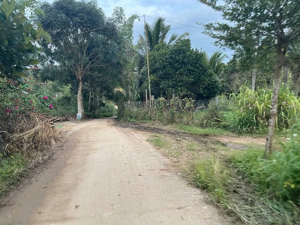 Đất rẫy 1ha tại xã Ea Sol, giá 1 tỷ - Đầu tư sinh lời ngay!