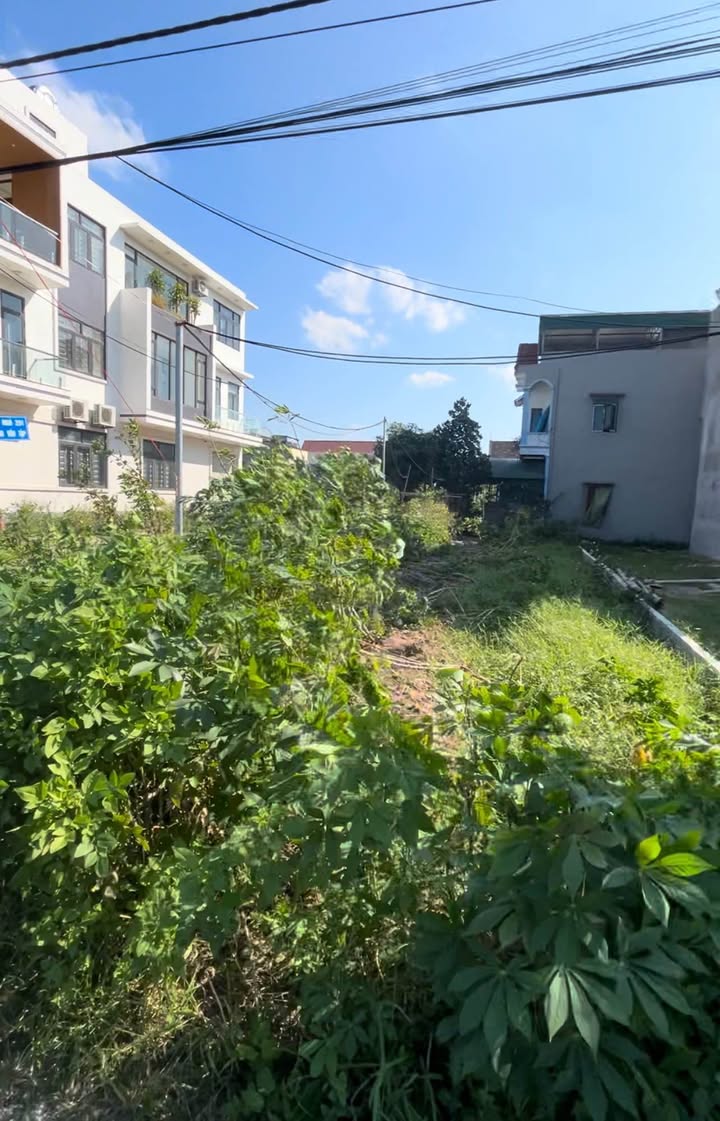 Đất lô góc 120m² tại Hòa Mạc - Vị trí đẹp, sẵn sàng giao dịch!