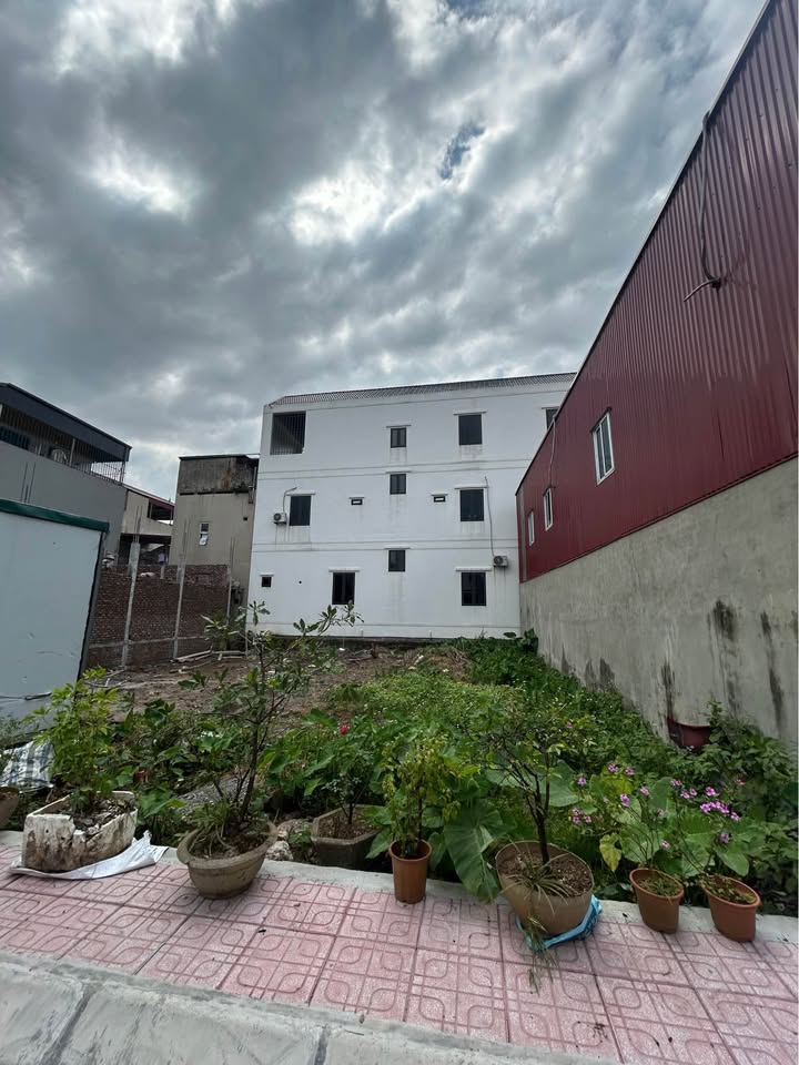 Đất nền Duy Minh 115m² giá thỏa thuận - Vị trí siêu đẹp, sẵn sàng giao dịch!