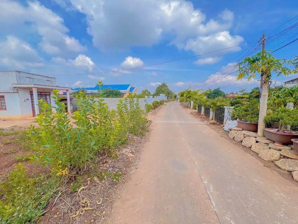 Đất thổ cư 245m² tại xã Tân Hội, Đức Trọng - Giá chỉ 2.5 tỷ, vị trí trung tâm!