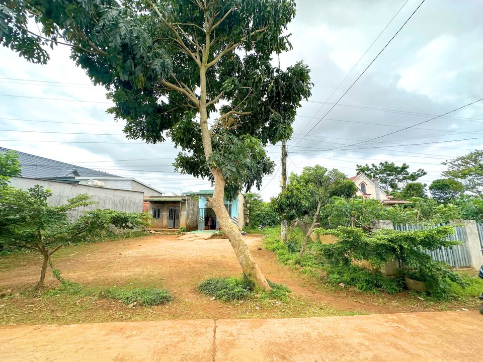 Đất nền Tân Hội 560m² giá 900 triệu - Cơ hội đầu tư sinh lời vượt trội!