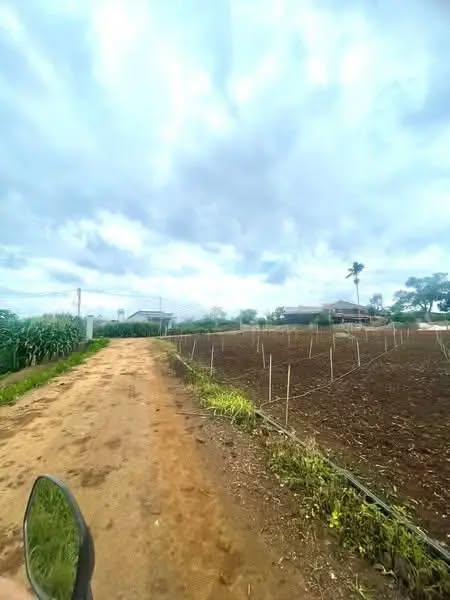 Đất nền xã Tân Hội, Đức Trọng, Lâm Đồng - Nhiều lựa chọn, giá chỉ từ 650 triệu!