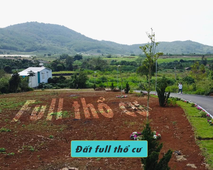 Đất nền Liên Hiệp Đức Trọng 140m² giá 1.03 tỷ - Cơ hội đầu tư hiếm có!