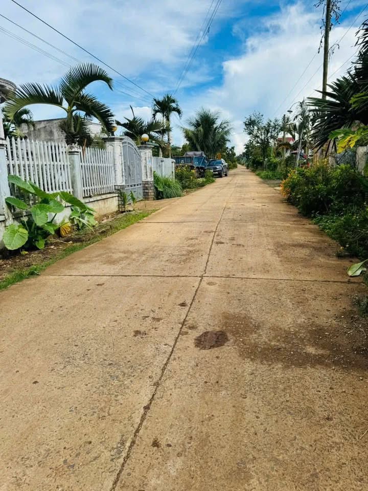 Đất nền Tân Hội 140m² giá 680 triệu - Vị trí vàng, sổ hồng riêng!