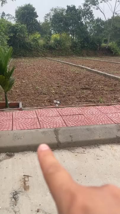 Đất thổ cư Thạch Bình 140m² chỉ 100 triệu - Cơ hội đầu tư tuyệt vời!