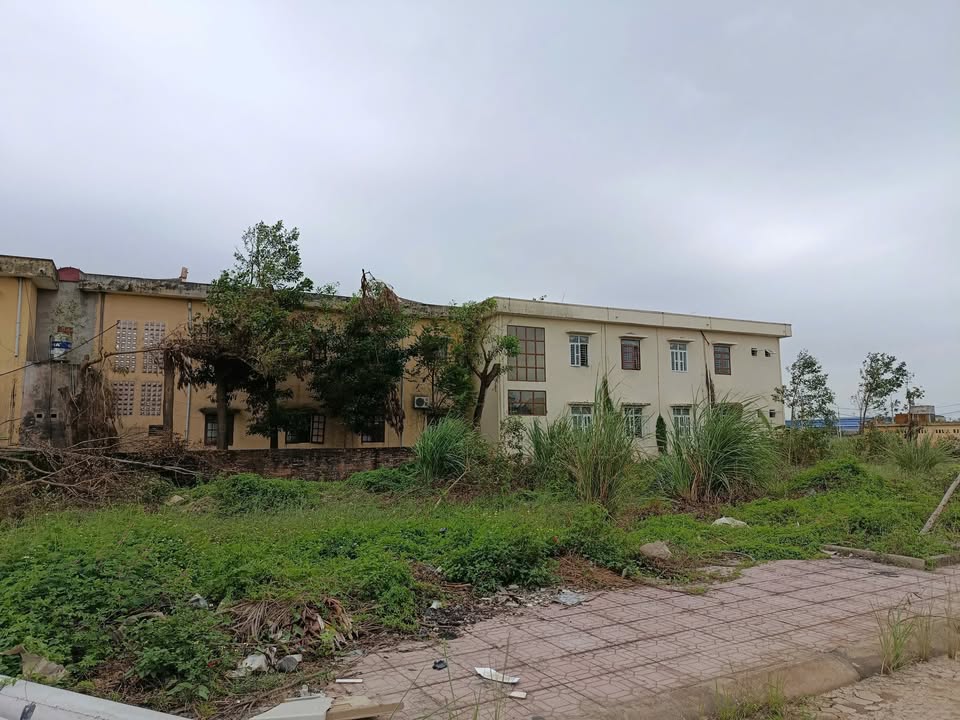 Đất nền khu đô thị Phú Quý Mới Hoằng Quý 90m² giá 1.55 tỷ - Cơ hội đầu tư sinh lời!