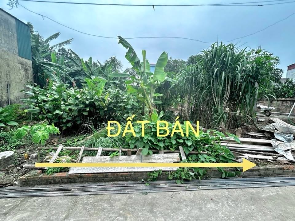 Đất nền Xuân Lâm, Thuận Thành 90m² giá 3 tỷ - Cơ hội đầu tư tuyệt vời!