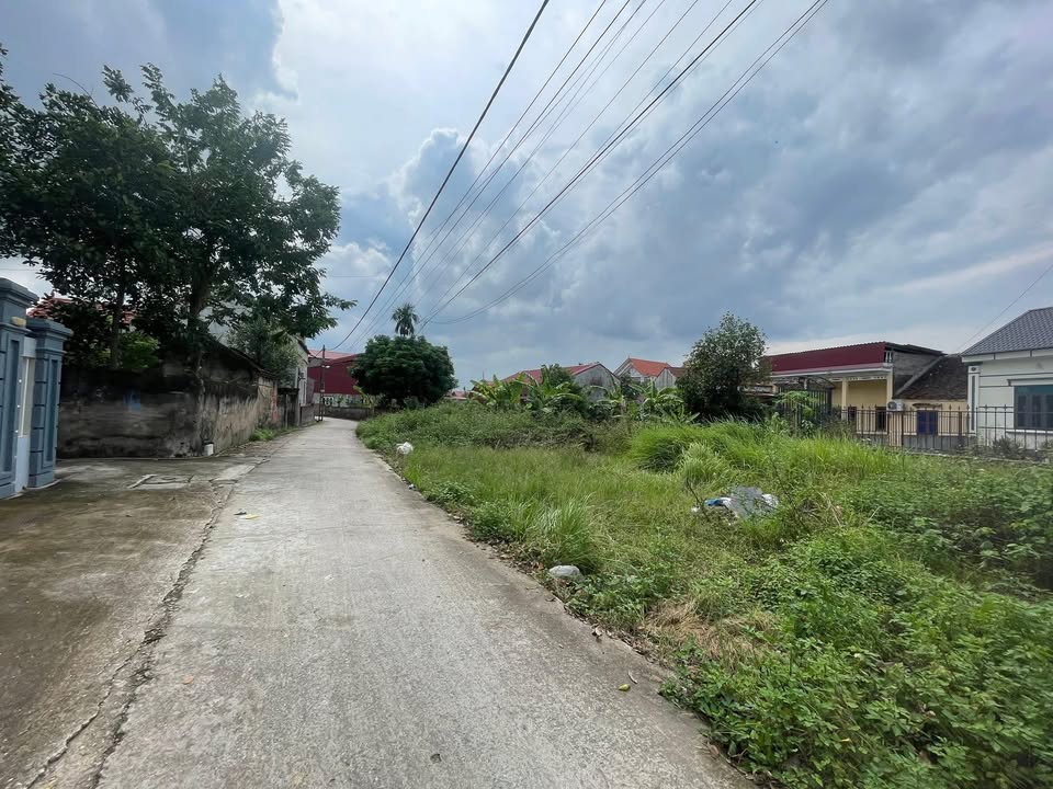 Đất nền Gia Bình 99m² - Gần trường học và Ủy ban xã - Giá thương lượng hấp dẫn!