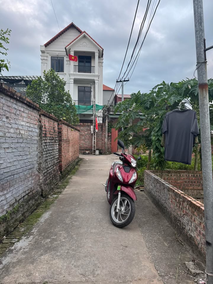 Đất mặt tiền 4m tại Ninh Xá, Thuận Thành - 51m² giá 1.5 tỷ - Đầu tư sinh lời ngay!