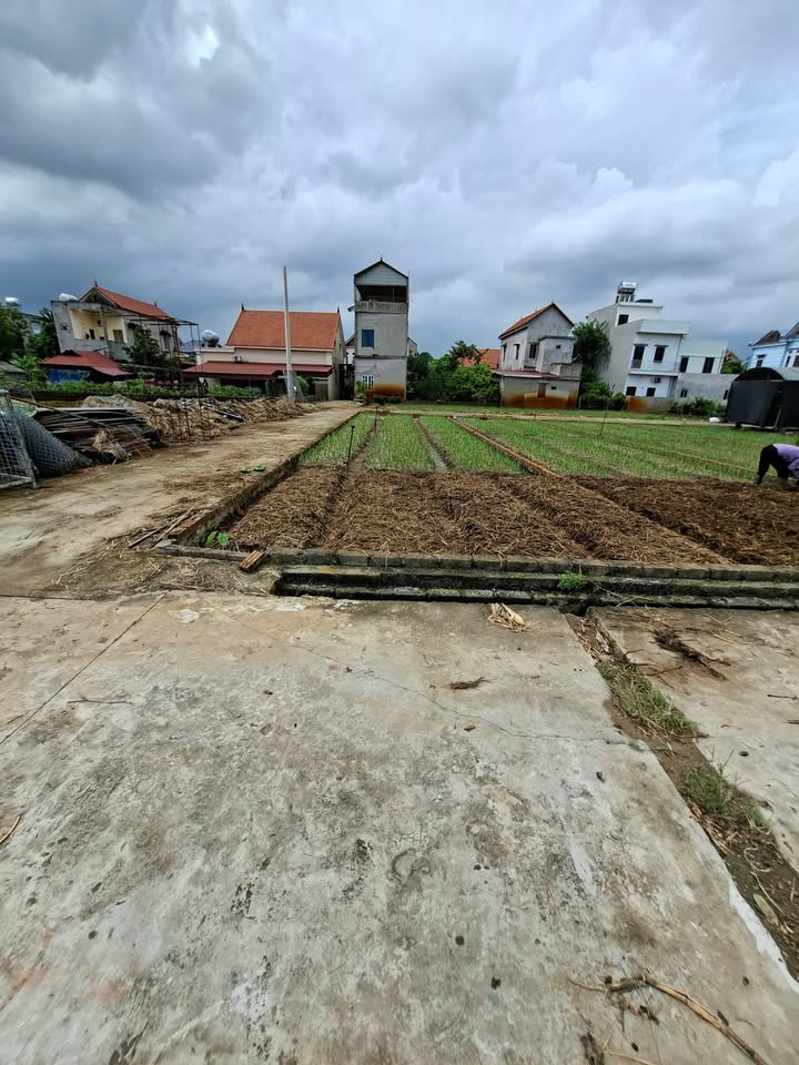 Đất nền Minh Tân Lương Tài 100m² chỉ 1 tỷ - Sổ đỏ chính chủ, vị trí đẹp!