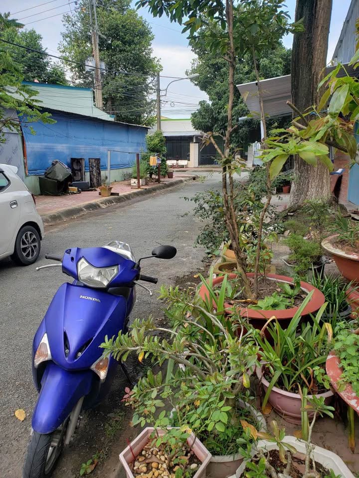 Nhà cấp 4 Trường An Vĩnh Long 120m² giá 2.2 tỷ - Sẵn sàng ở ngay!