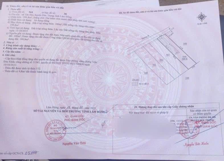 Đất thổ cư Tân Hội, Đức Trọng 100m² giá 1.25 tỷ - Gần chợ và sân bay!