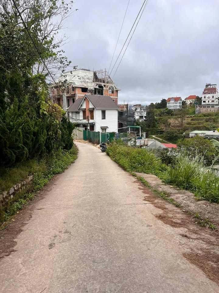 Đất nền Đà Lạt 258m² giá 7.9 tỷ - Cơ hội đầu tư tuyệt vời!