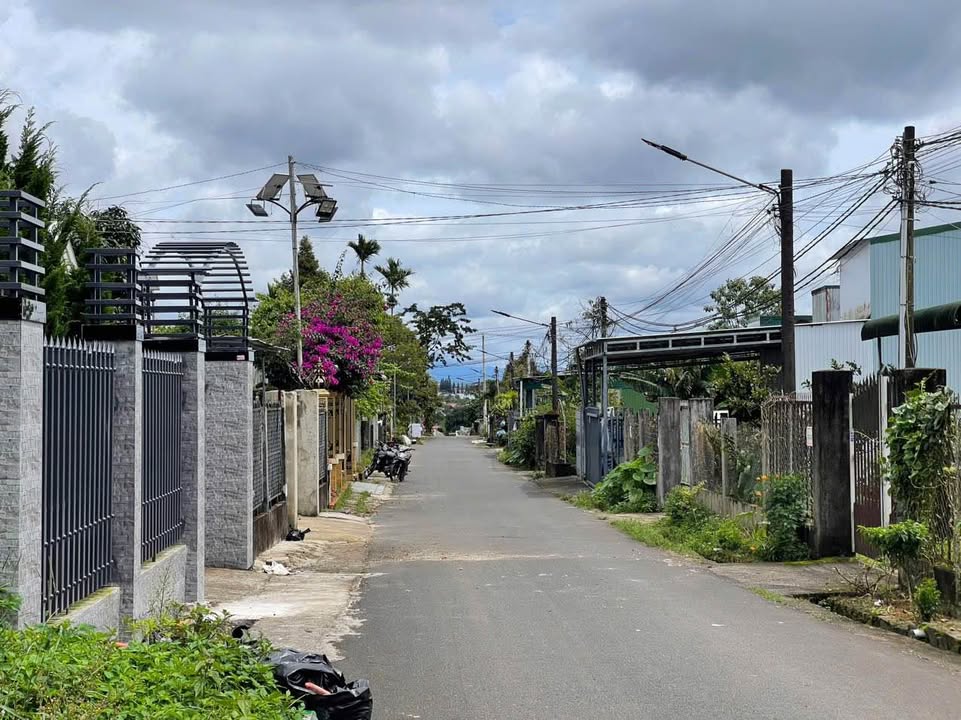 Đất mặt tiền hẻm 134 Lê Phụng Hiểu - Lộc Châu 556m² giá 3.5 tỷ - Vị trí đắc địa, cơ hội đầu tư!