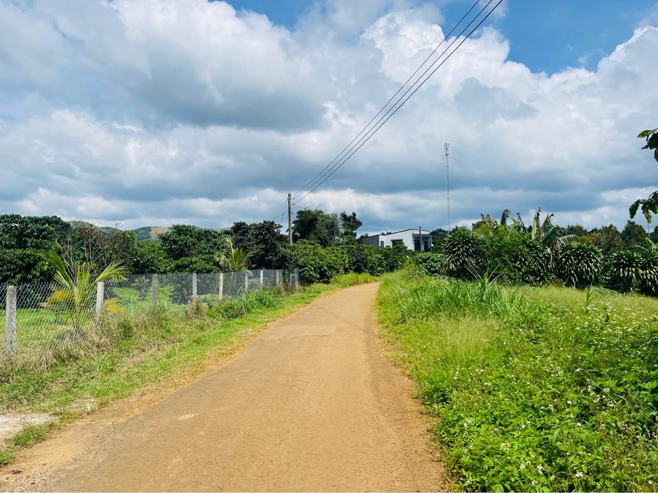 Đất mặt tiền đường Khánh Thượng, Bảo Lâm 1500m² giá 2.3 tỷ - Cơ hội vàng đầu tư!