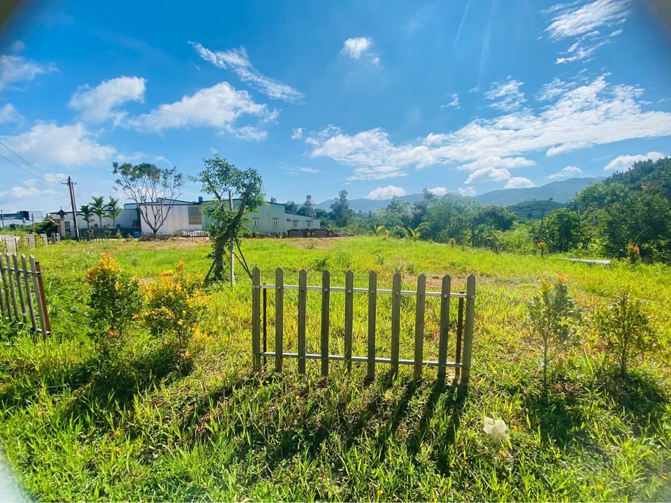 Đất 2 mặt tiền đường tại thôn 10, xã Đại Lào, 995m² - Sổ đỏ chính chủ, giá thỏa thuận!