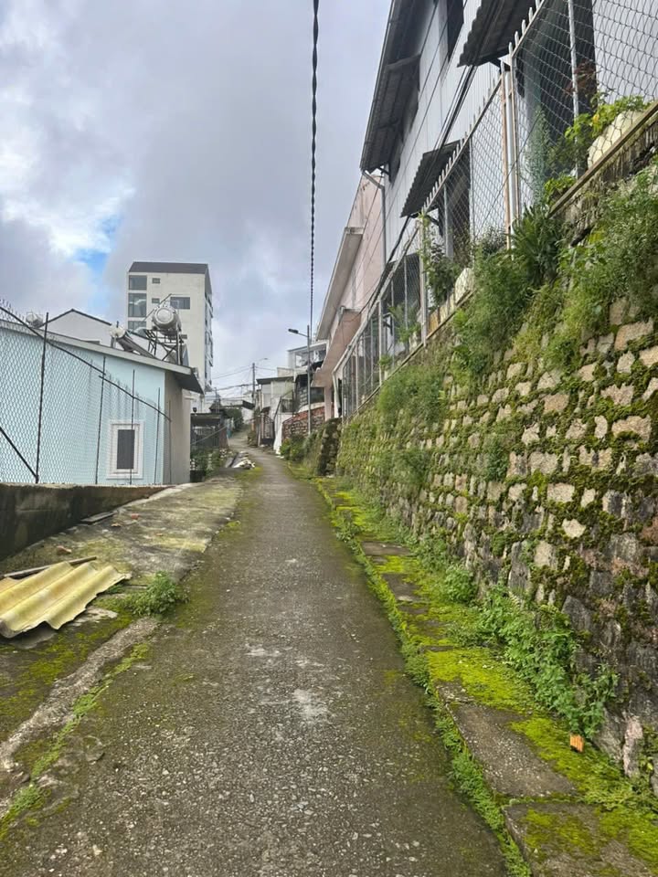 Bán đất đường Cổ Loa, phường Xuân Hương, Đà Lạt 80m² giá 3.1 tỷ - Vị trí vàng ngay trung tâm!