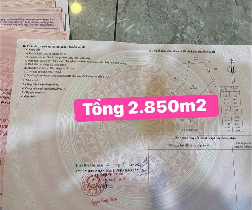 Đất nền Lộc Thành Bảo Lâm 2850m² giá 650 triệu - View đẹp, ô tô tận nơi!