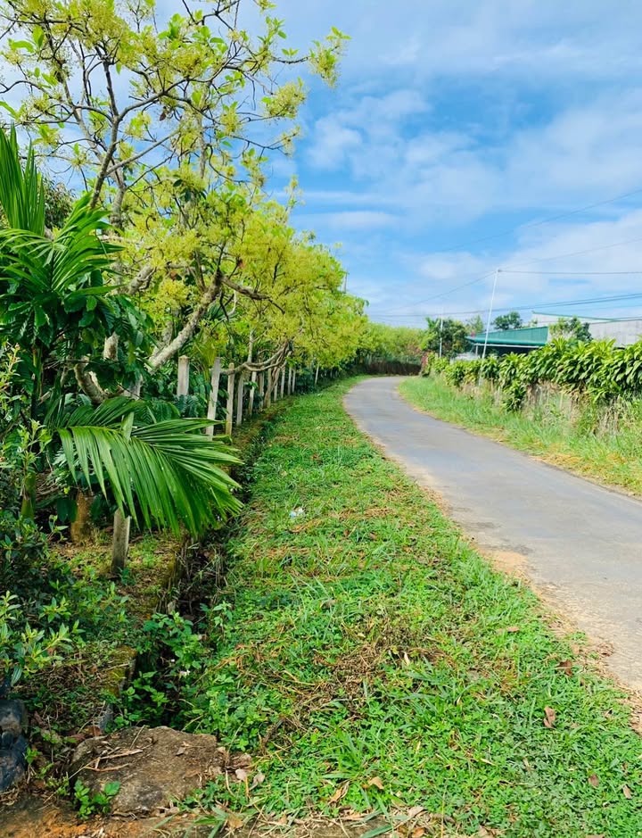 Đất thổ cư Lộc Nam Bảo Lâm 3600m² giá 7.5 tỷ - Đầu tư sinh lời ngay!