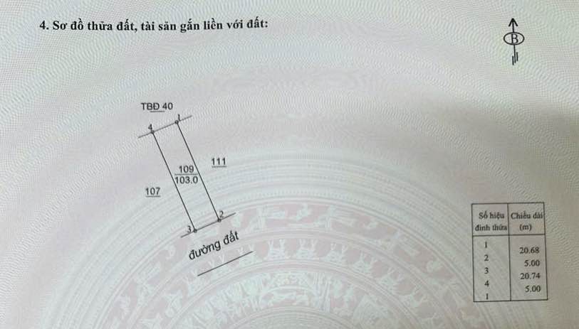 Đất nền Lộc An 100m² giá chỉ 420 triệu - Đầu tư ngay!