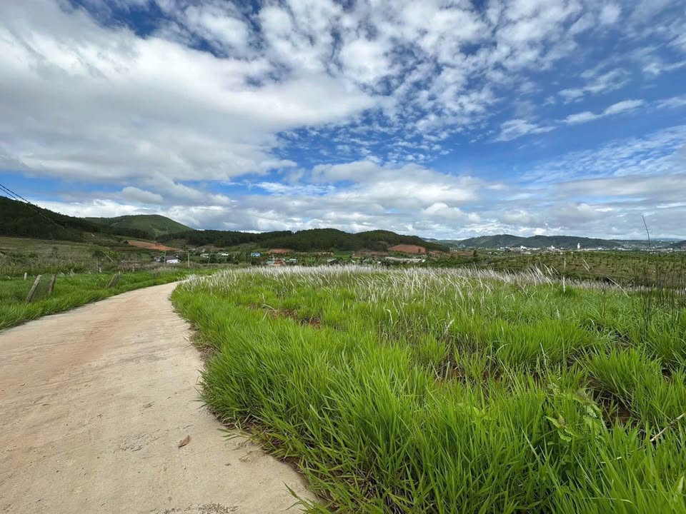 Lô đất Nam Ban Lâm Hà 600m² giá 799 triệu - Đầu tư sinh lời nhanh!