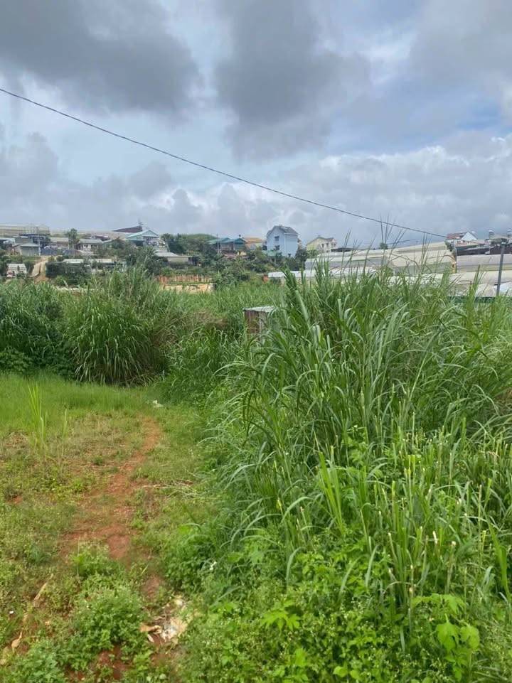 Đất nền đường Cao Thắng, Đà Lạt 50m² giá 450 triệu - Cơ hội đầu tư sinh lời!