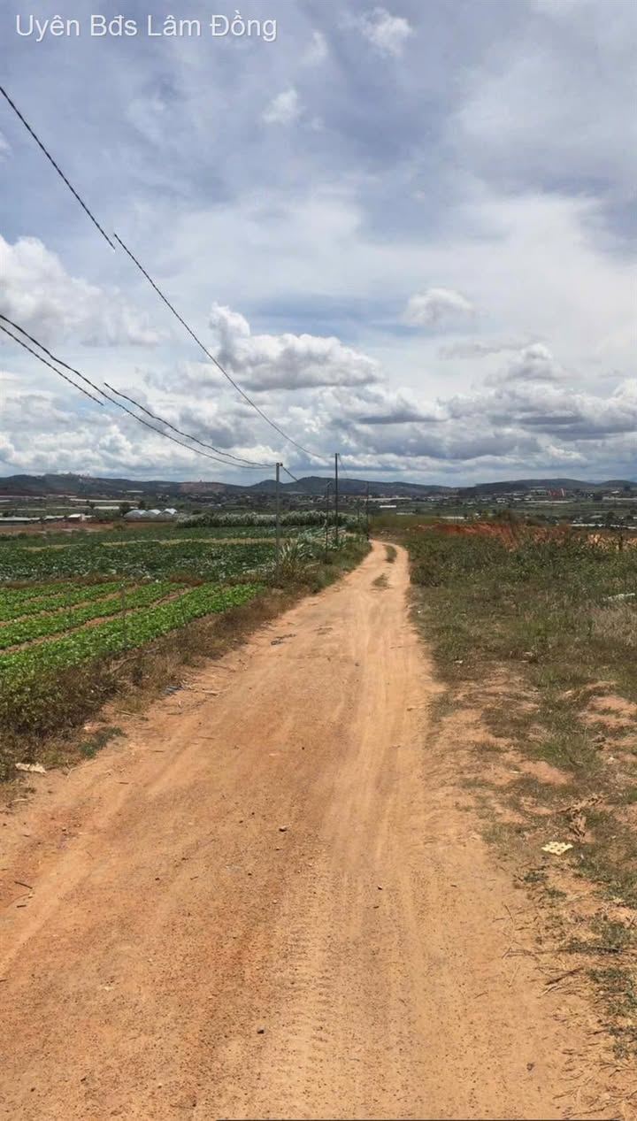 Đất nền Đơn Dương 476m² giá chỉ 300 triệu - Cơ hội đầu tư sinh lời!