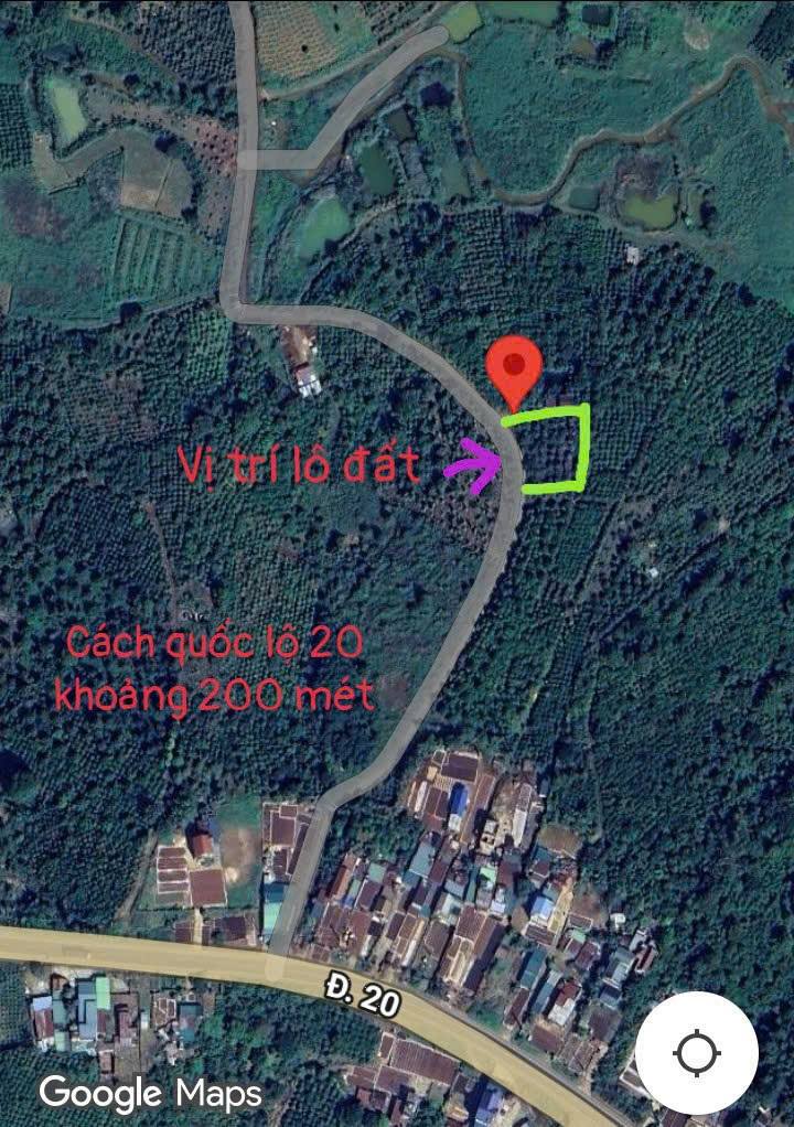 Đất nền Liên Đầm Di Linh 1100m² giá 1.25 tỷ - Đầu tư sinh lời ngay!