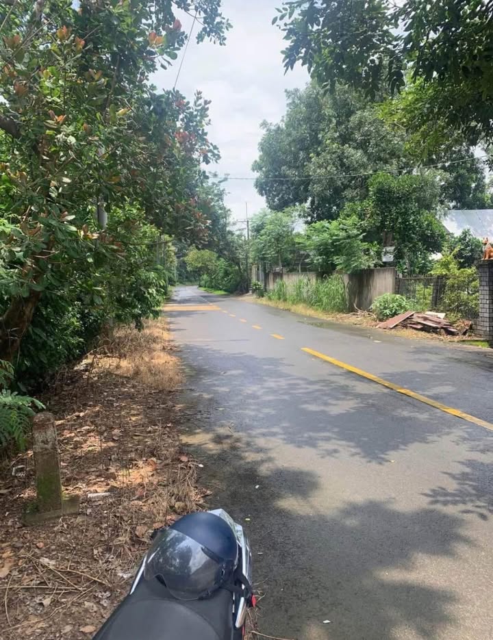 Đất mặt tiền đường Phú Xuân Tân Phú 38.000m² - Thích hợp đầu tư và kinh doanh!