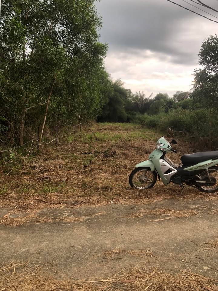 Đất nền 315m² tại ấp 2 Phú Điền, giá chỉ 540 triệu - Sổ hồng chính chủ!