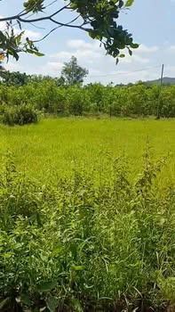 Đất nền Gia Canh, Định Quán 150m² giá chỉ 1xx triệu - Cơ hội đầu tư tuyệt vời!