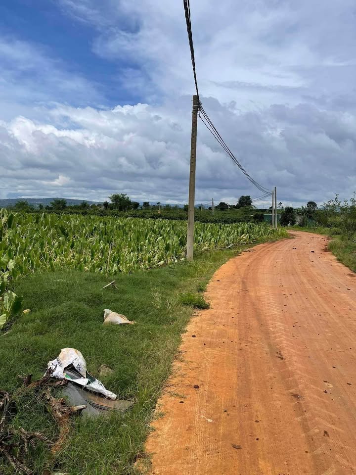 Đất thổ cư góc 2 mặt tiền tại Tân Hội, Lâm Đồng, giá 580 triệu - Cơ hội đầu tư tuyệt vời!