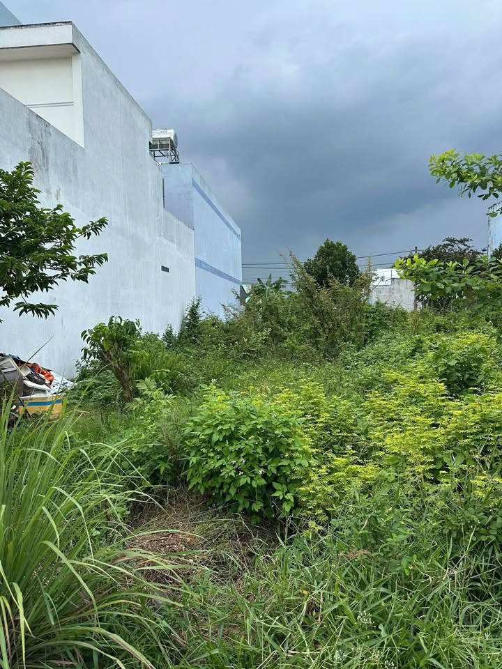 Đất nền KDC Bình Tâm, Tân An, Long An 100m² giá 1.35 tỷ - Khu dân cư sầm uất!