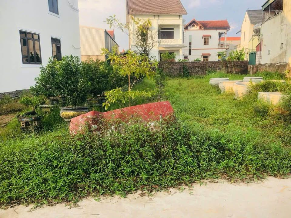 Lô đất Liên Nghĩa, Văn Giang 128,9m² giá chỉ 3X - Cơ hội đầu tư vàng!