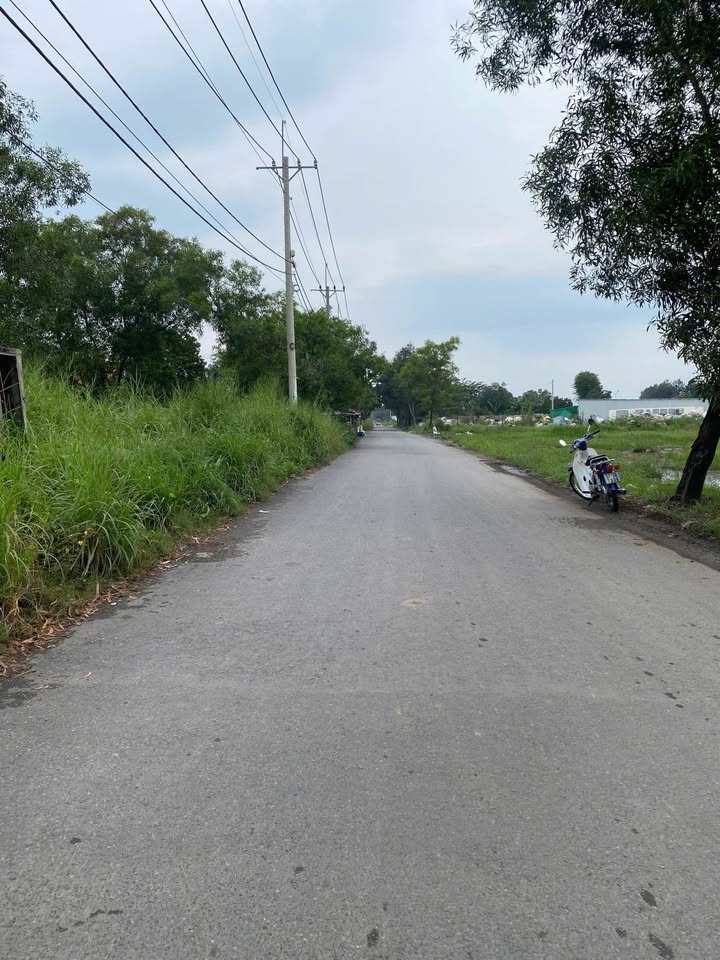 Đất mặt tiền đường 107, xã Tân Thạnh Đông, 2000m² chỉ 18 tỷ - Đầu tư sinh lời ngay!