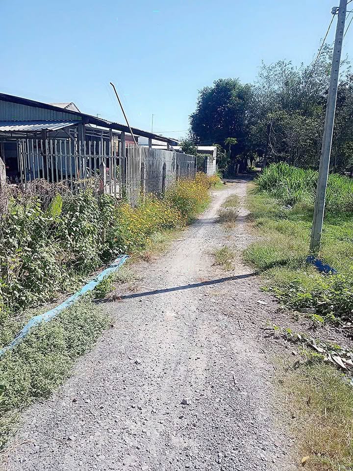 Đất nông nghiệp Củ Chi 1493m² giá 6.9 tỷ - Vị trí đẹp 2 mặt tiền