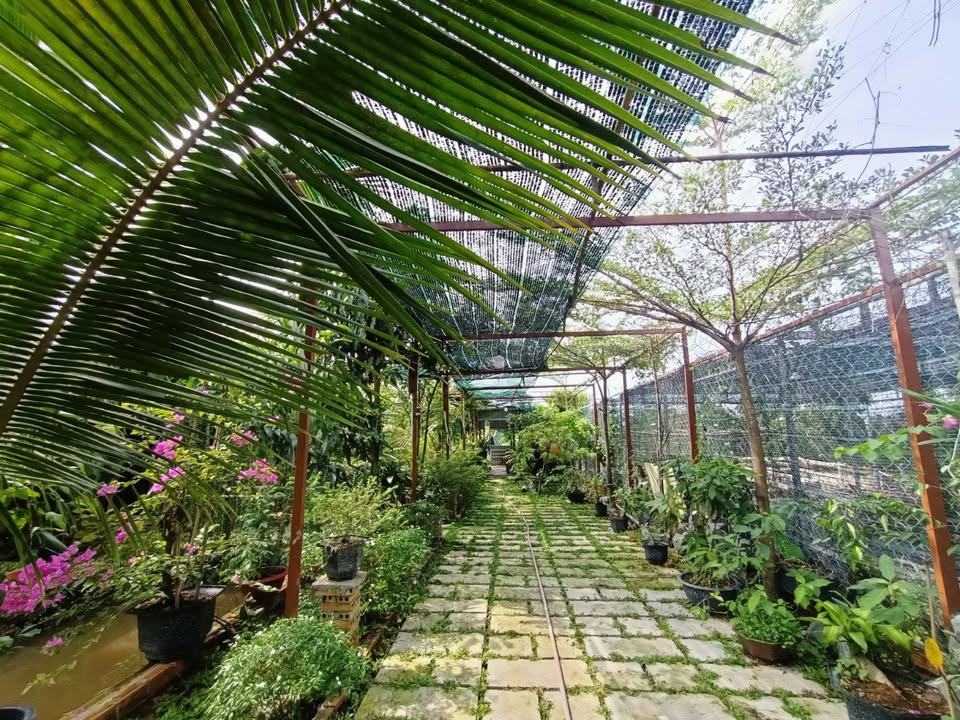 Nhà vườn 500m² Bình Mỹ, Củ Chi giá 3.8 tỷ - Mặt tiền kênh thơ mộng!