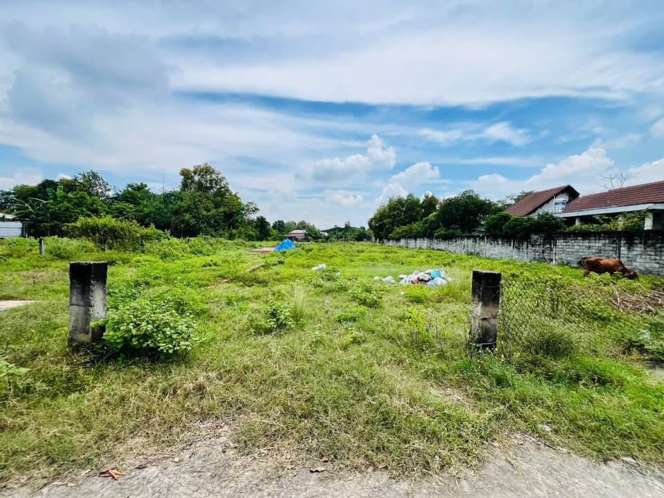 Đất nền Tân An Hội Củ Chi 3400m² giá 22 tỷ - Tiềm năng phát triển mạnh mẽ!