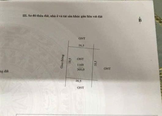 Đất nền Khu Tái Định Cư Thụy Vân 300m² giá 3 tỷ - Đầu tư sinh lời ngay!