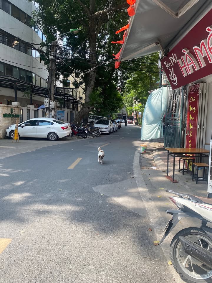 Nhà cho thuê Đống Mác, Hai Bà Trưng 30m² giá 17 triệu - Phù hợp kinh doanh và văn phòng!