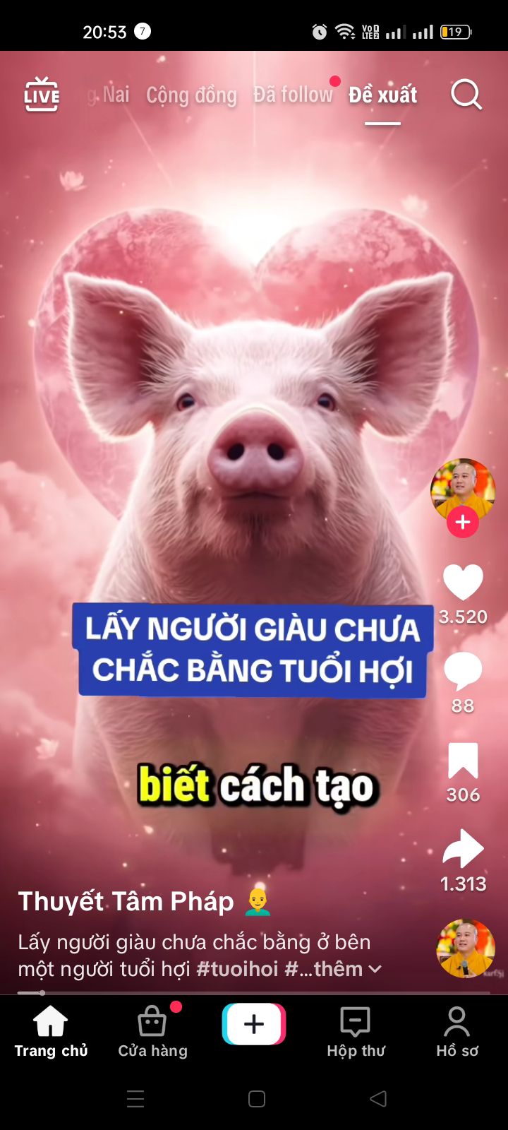 Đất thổ cư 300m² phường Tam Hiệp, Biên Hòa - Giá tốt, vị trí gần chợ Tân Mai!