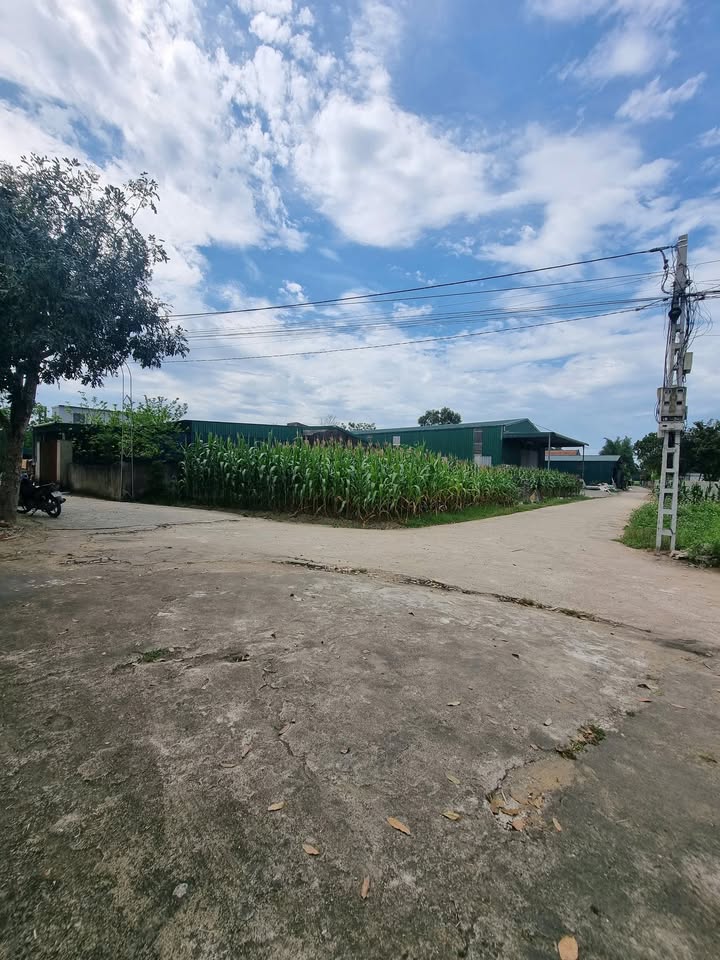 Đất nền Nghi Phong 154m² giá 1.6 tỷ - Sổ đỏ chính chủ, đường ô tô tránh nhau!