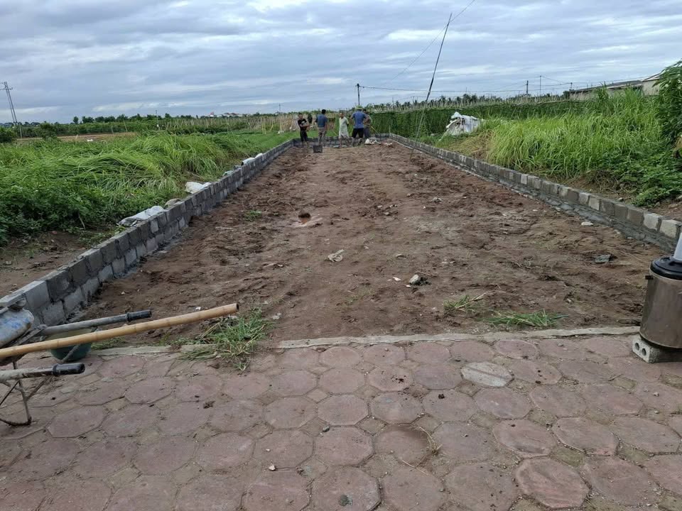 Đất nền thôn Thanh Xá, Yên Mỹ, Hưng Yên 108m² giá chỉ 3 tỷ - Đầu tư sinh lời ngay!