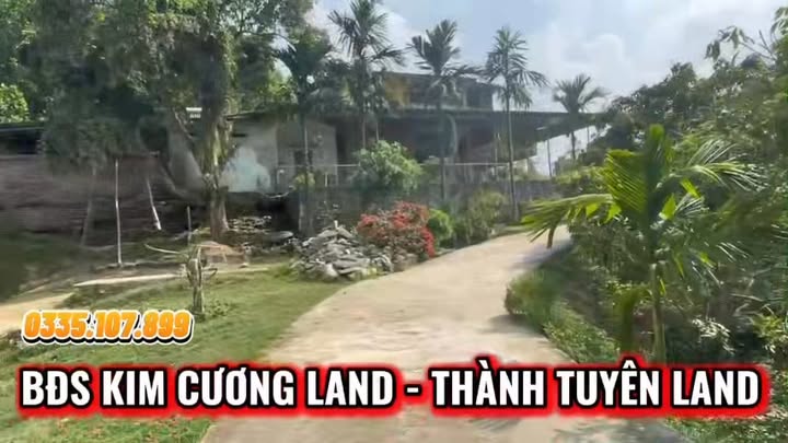 Trang trại đẹp tại Yên Sơn 12.000m² giá 5 tỷ - Đầu tư sinh lời ngay!