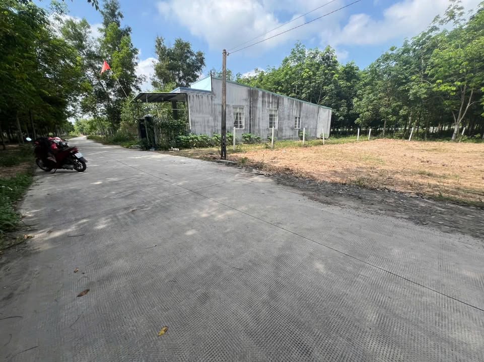 Đất nền Chánh Phú Hòa, Bến Cát 120m² giá 1.1 tỷ - Hướng Đông nắng tốt!