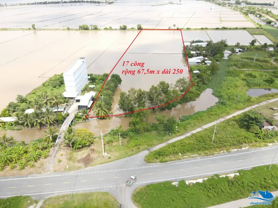 Bán đất ruộng Vĩnh Thông, An Giang 42.000m² - Thích hợp làm vườn hoặc khu du lịch sinh thái!