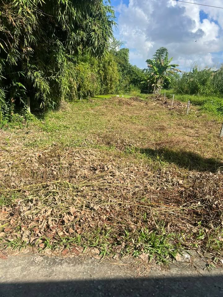 Đất nền mặt tiền Rạch Cà Lang - 319,5m² giá 700 triệu - Đầu tư sinh lời ngay!