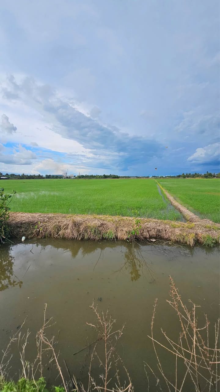Đất lúa 3600m² tại Vĩnh Hiệp, Rạch Giá chỉ 925 triệu - Đón đầu quy hoạch mặt tiền!