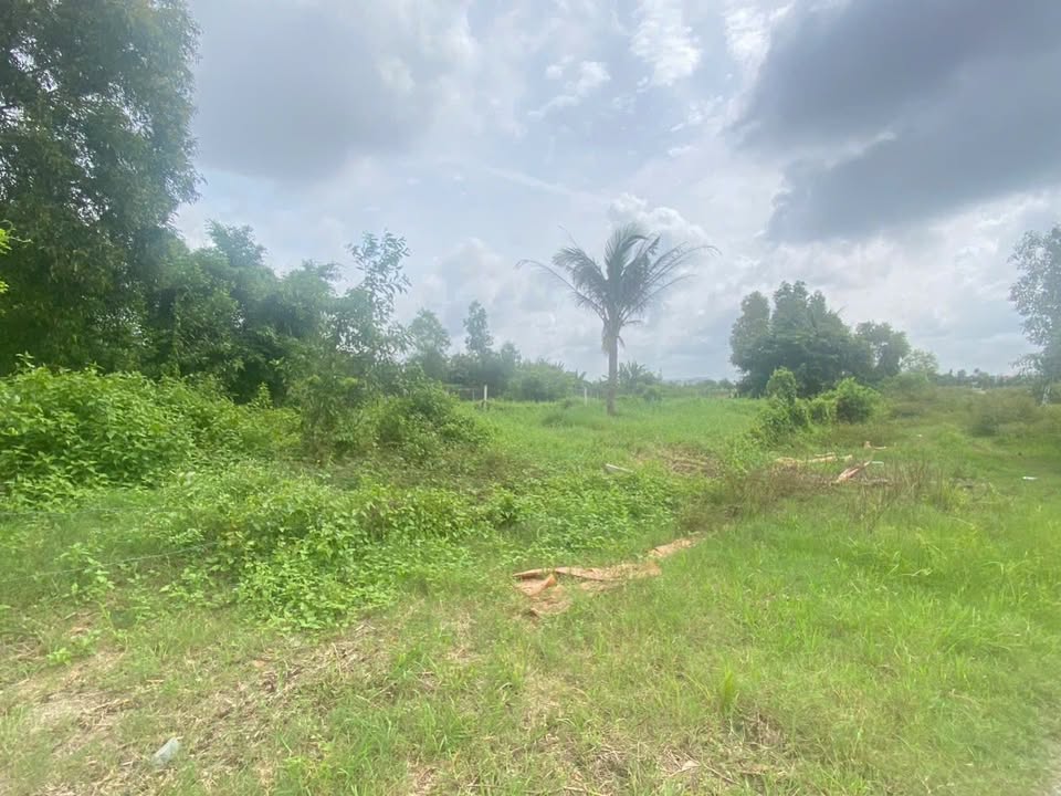 Đất vườn 1500m² Phường Long Phước, Quận 9 giá 13.5 tỷ - Mặt tiền đường lớn, gần Vinhome!